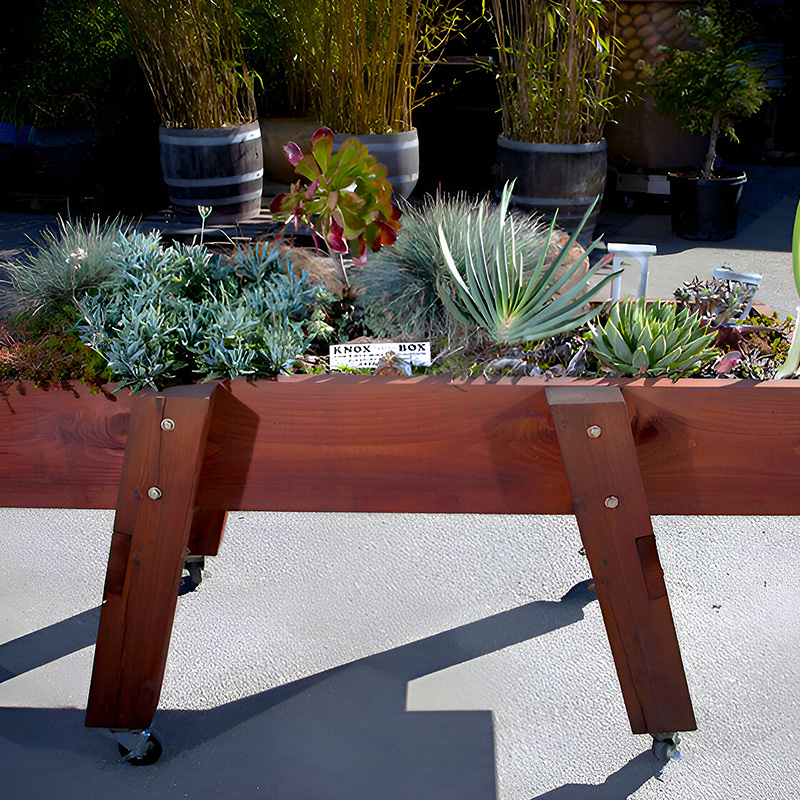 Elevated Garden Bed with Succulents